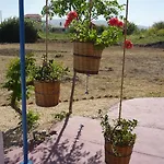 Vineyard Дом отдыха *