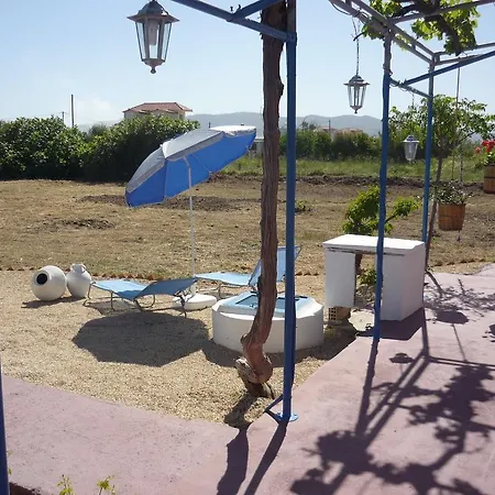 Vineyard