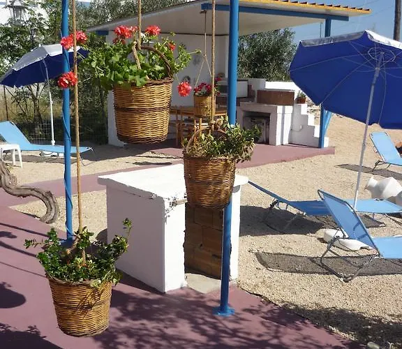 Vineyard Case de vacanță