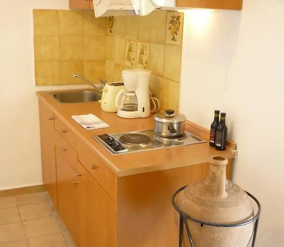 Vineyard * 하라키