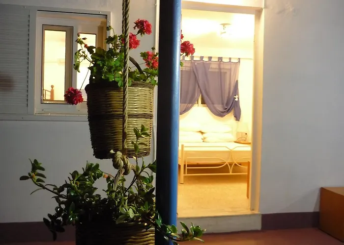 Vineyard Tatil Evi Haraki