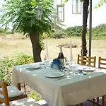 Vineyard *