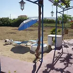 Vineyard