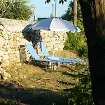 Vineyard