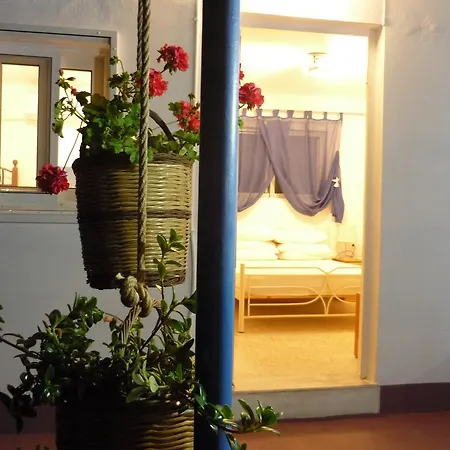 Vineyard Tatil Evi Haraki