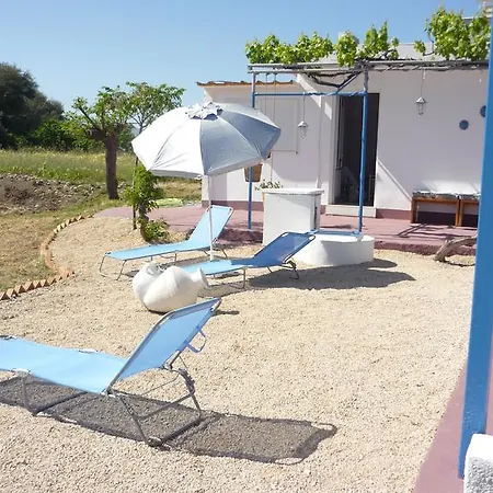Vineyard Tatil Evi Haraki
