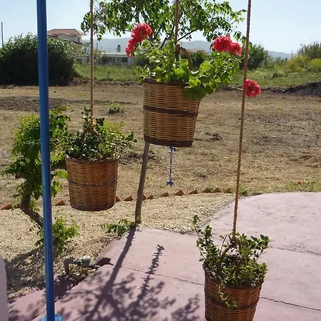 Vineyard Tatil Evi *